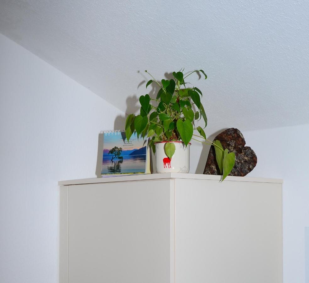 Haus Jakob Filzmoos Eksteriør bilde